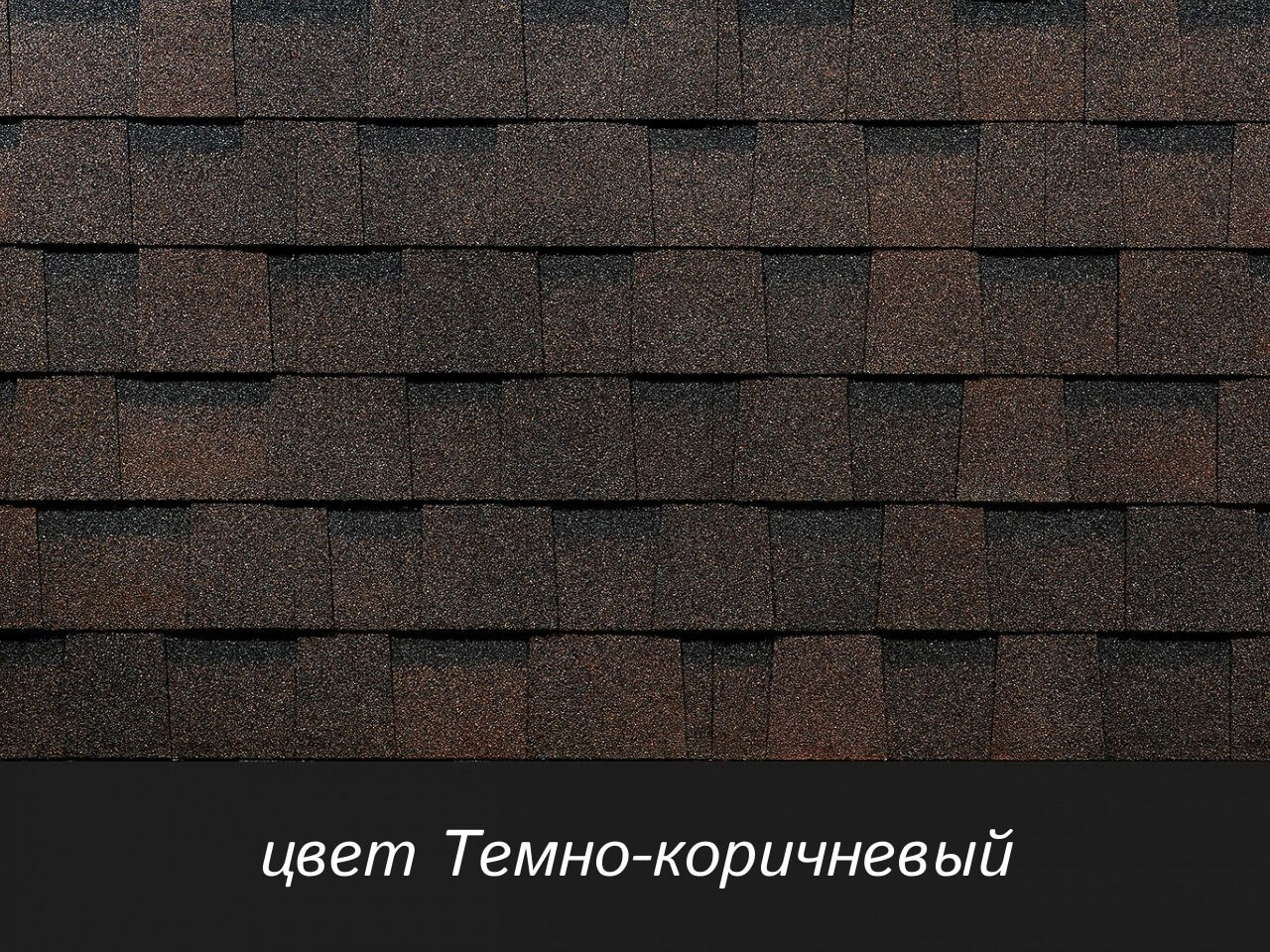 Docke Dragon Europa цвет Темно-коричневый