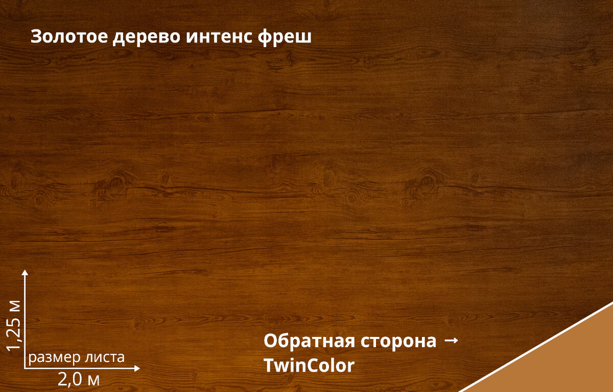 Golden Wood Intense Fresh